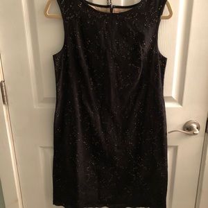 10 petite Ann Taylor Loft Eyelet Shift